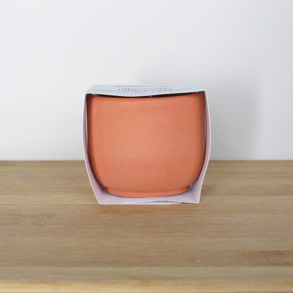 Spiritually Efflorescent Mini