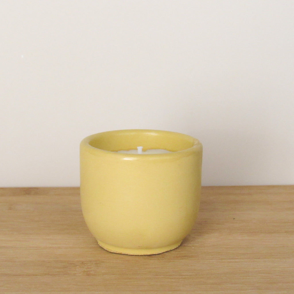 Tranquil Oasis Mini